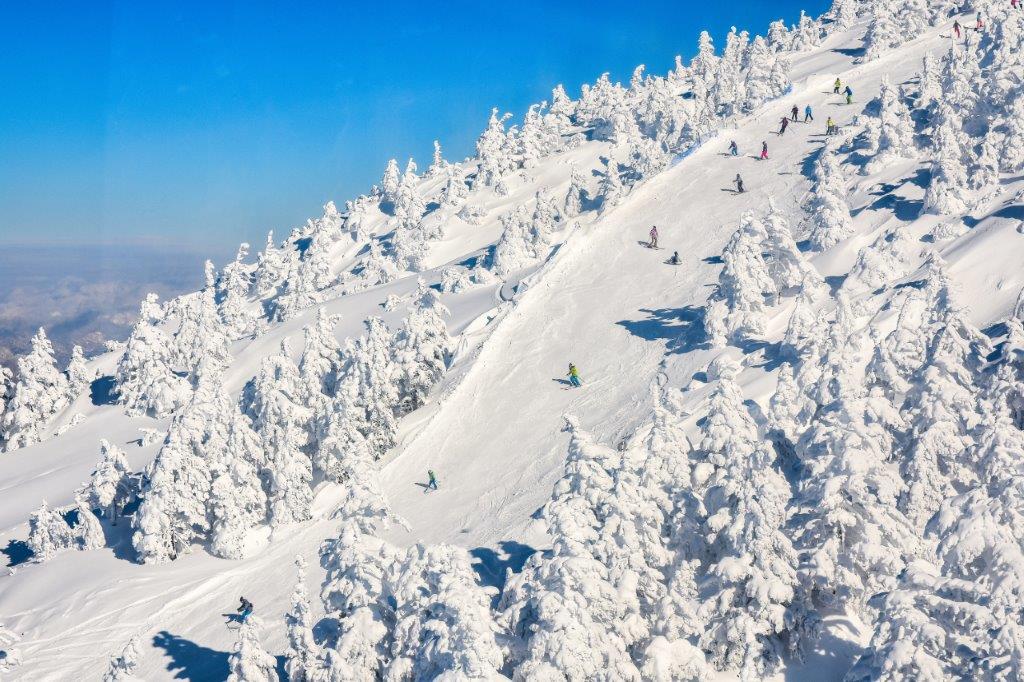 在回程的纜車上見到不少滑雪愛好者在此進行滑雪運動。