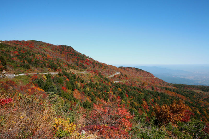 Bandai-Azuma Skyline, in autumn foliage. (Image credit: 福島県観光物産交流協会)