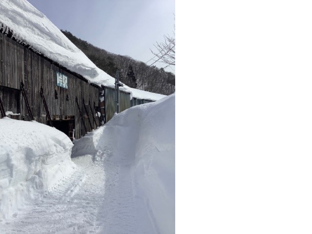 ▲冬天只要跨出車站一步就能體驗到的超級豪雪