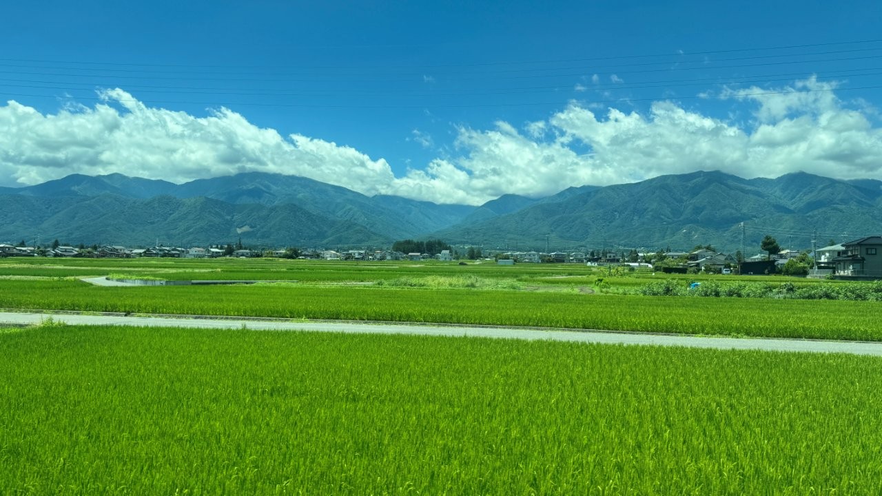 ▲從車窗拍到的安曇野稻田