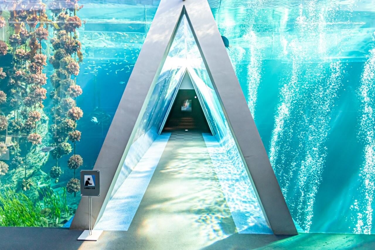 福島環境水族館中的海底隧道