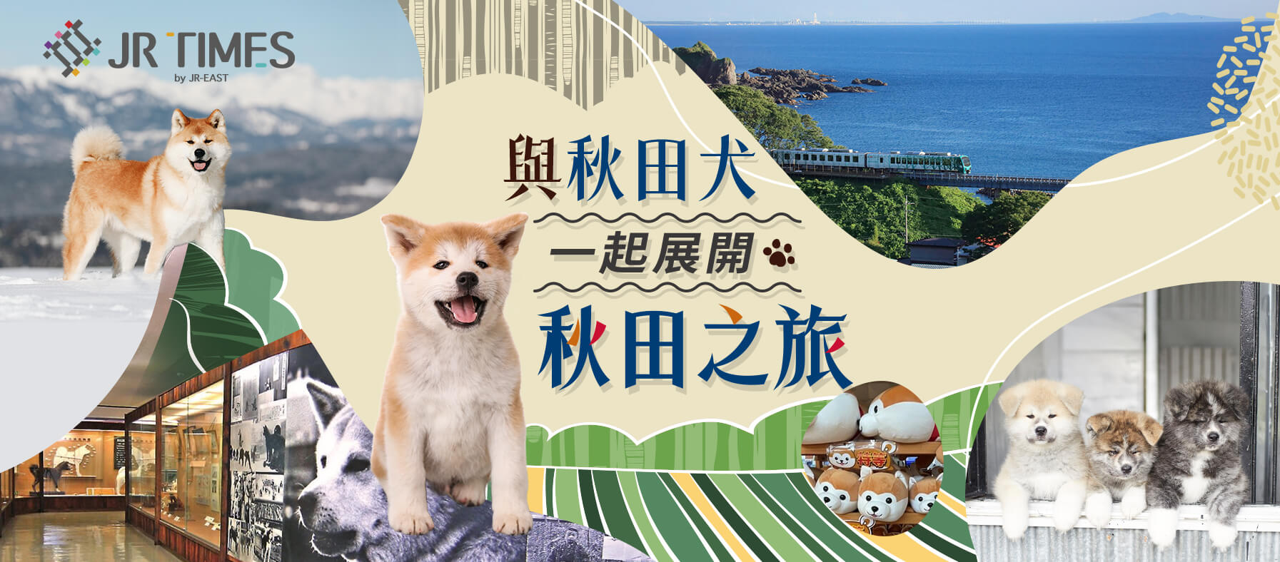 狗派不能錯過的9個秋田犬景點！