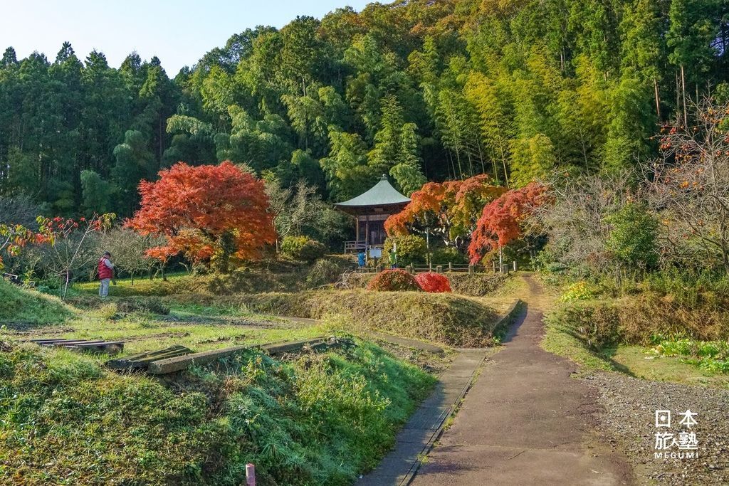 中釜戶垂枝紅葉所在位置隱密，沿途需經過蜿蜒的小徑