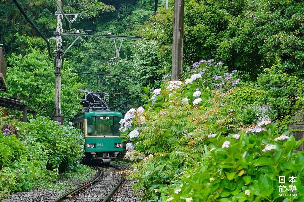 穿過隧道駛出的江之電電車，夏季總是擠滿攝影愛好者捕捉這瞬間