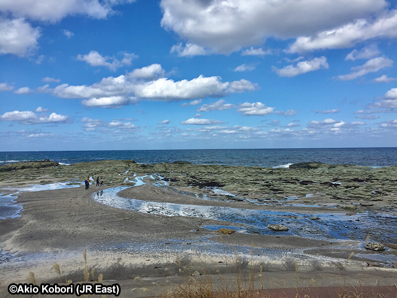 The sea at Senjojiki Station. (Image credit: JR East / Akio Kobori)