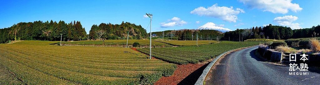 大淵笹場，沿著產業道路兩側均為茶田，而富士山就位於茶田後方