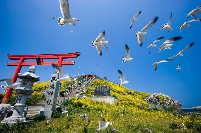 Kabushima Jinja. (Image credit: 青森県)