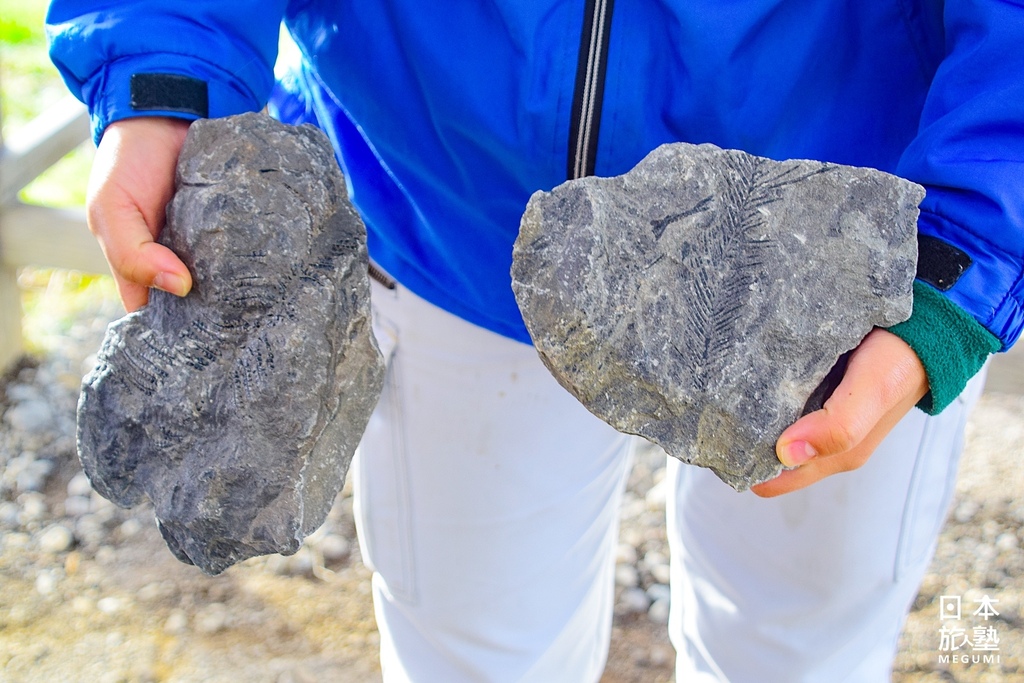 工作人員解說石頭內的化石模樣、怎樣進行分辨等內容