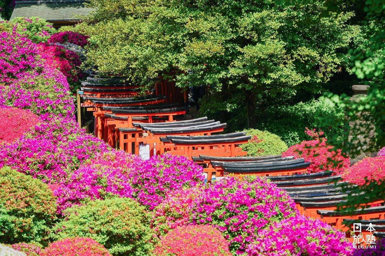 紅色與黑色組成的鳥居，洋溢古典日本之美