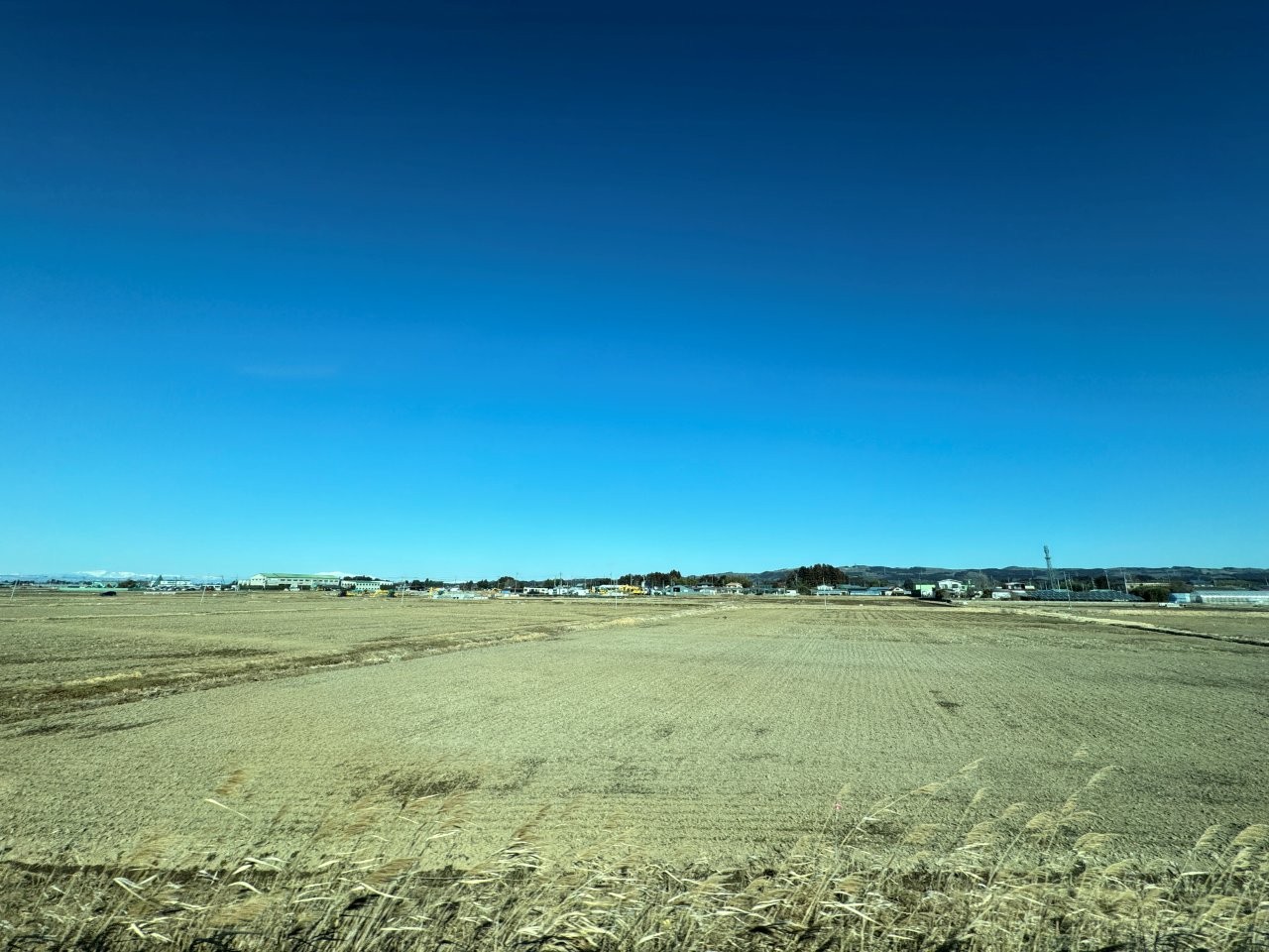 ▲去程窗外的田野風景
