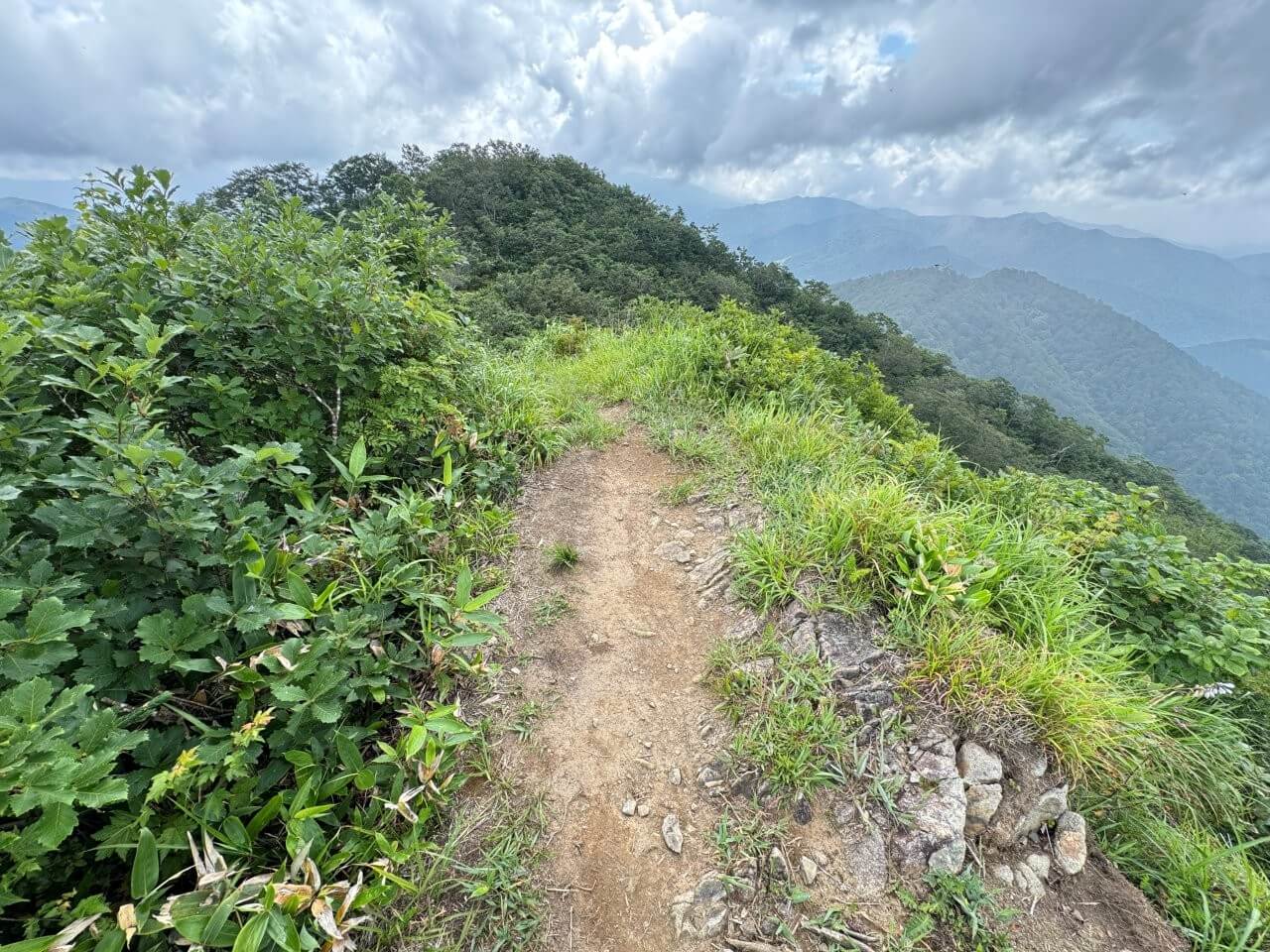 ▲高倉山山頂