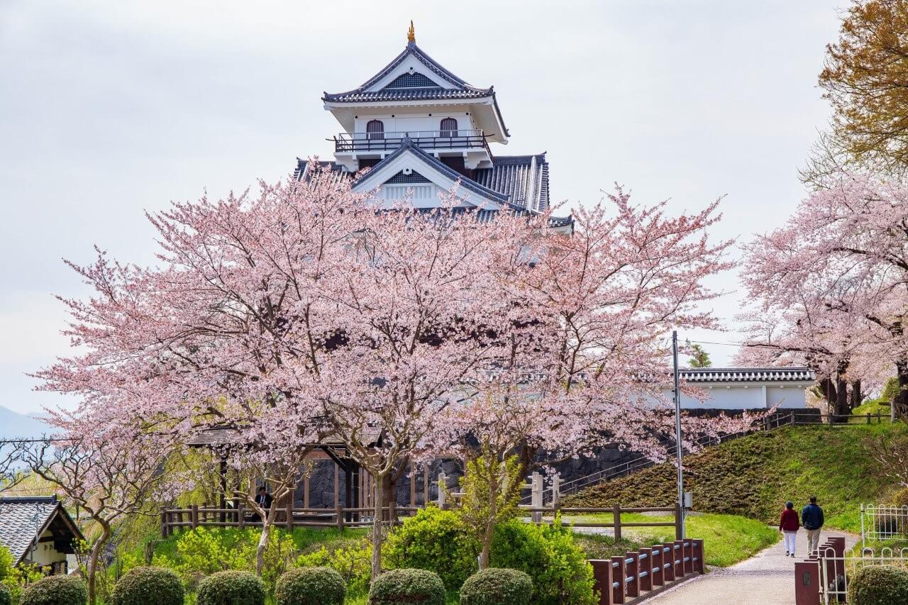 上山城，為重建的模擬天守