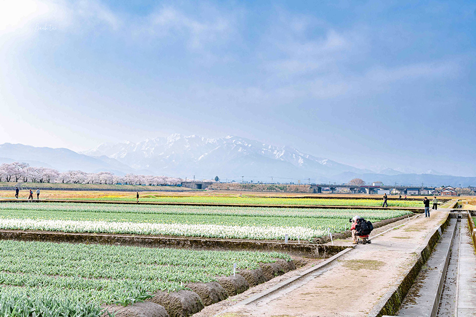 ＃立山連峰（北阿爾卑斯山）