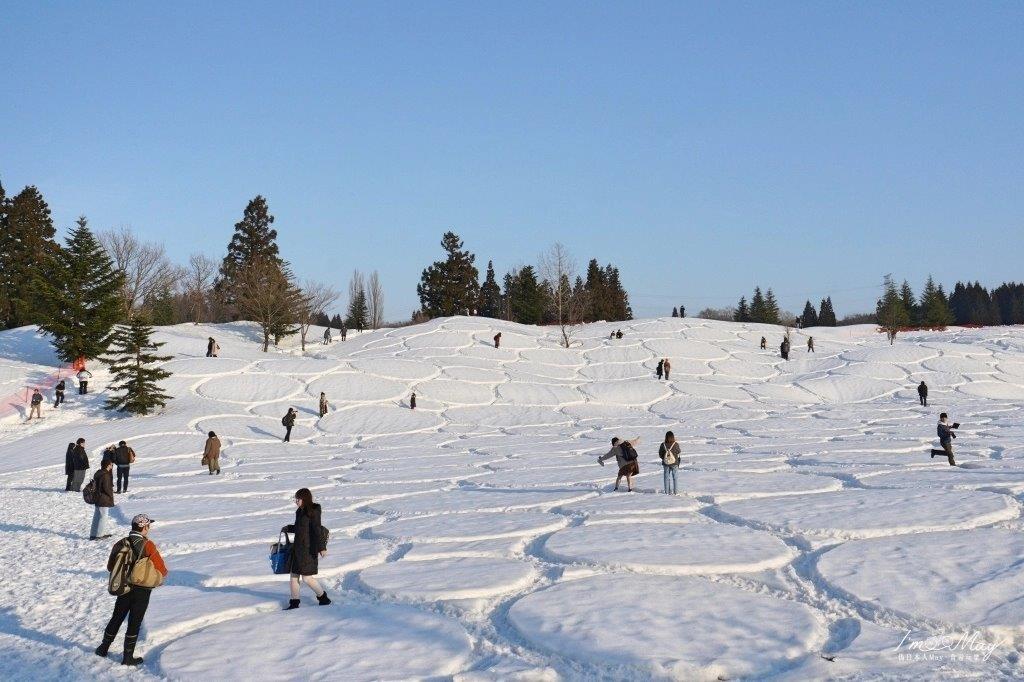 雪地上大小不等的圓形