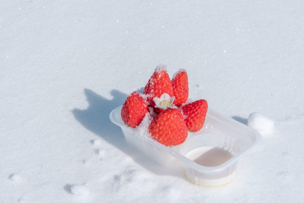 同行旅伴妮可魯與V歐妮用了雪作成草莓煉乳剉冰，這期間限定的草莓煉乳剉冰太過可愛，非常佩服他們的想法！