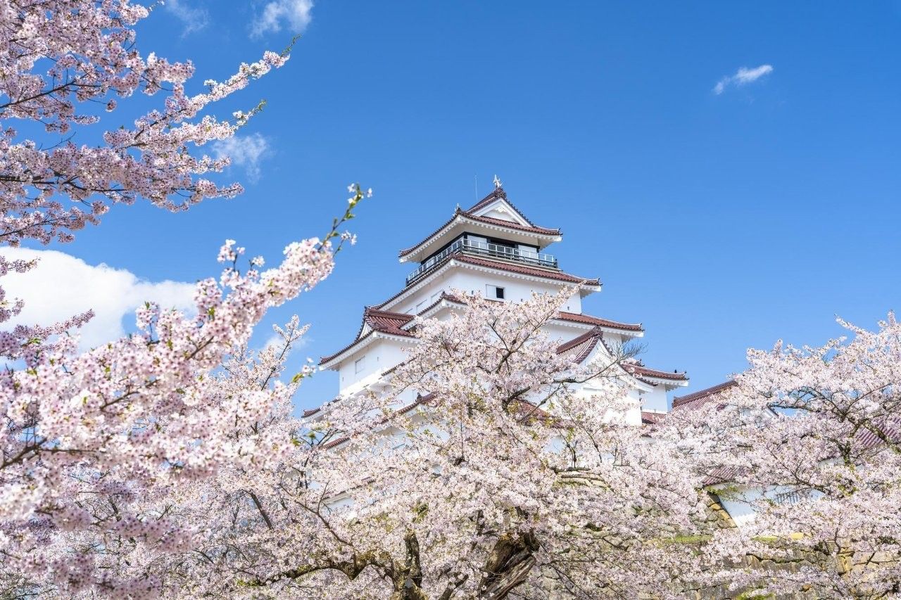 圖片來源：PIXTA