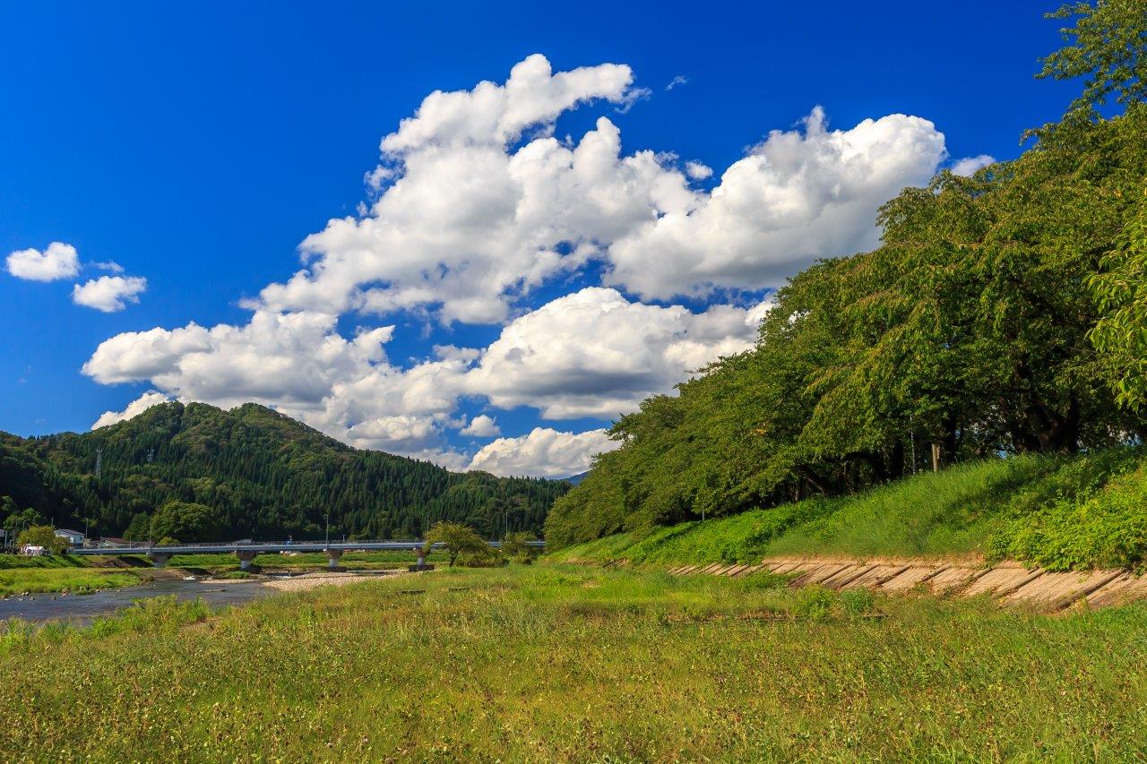 檜木內川堤櫻花道