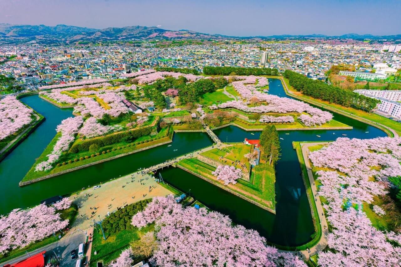 圖片來源：PIXTA