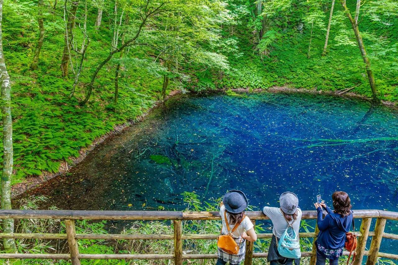 凝視深邃的湛藍之瞳：走入十二湖「青池」的森呼吸