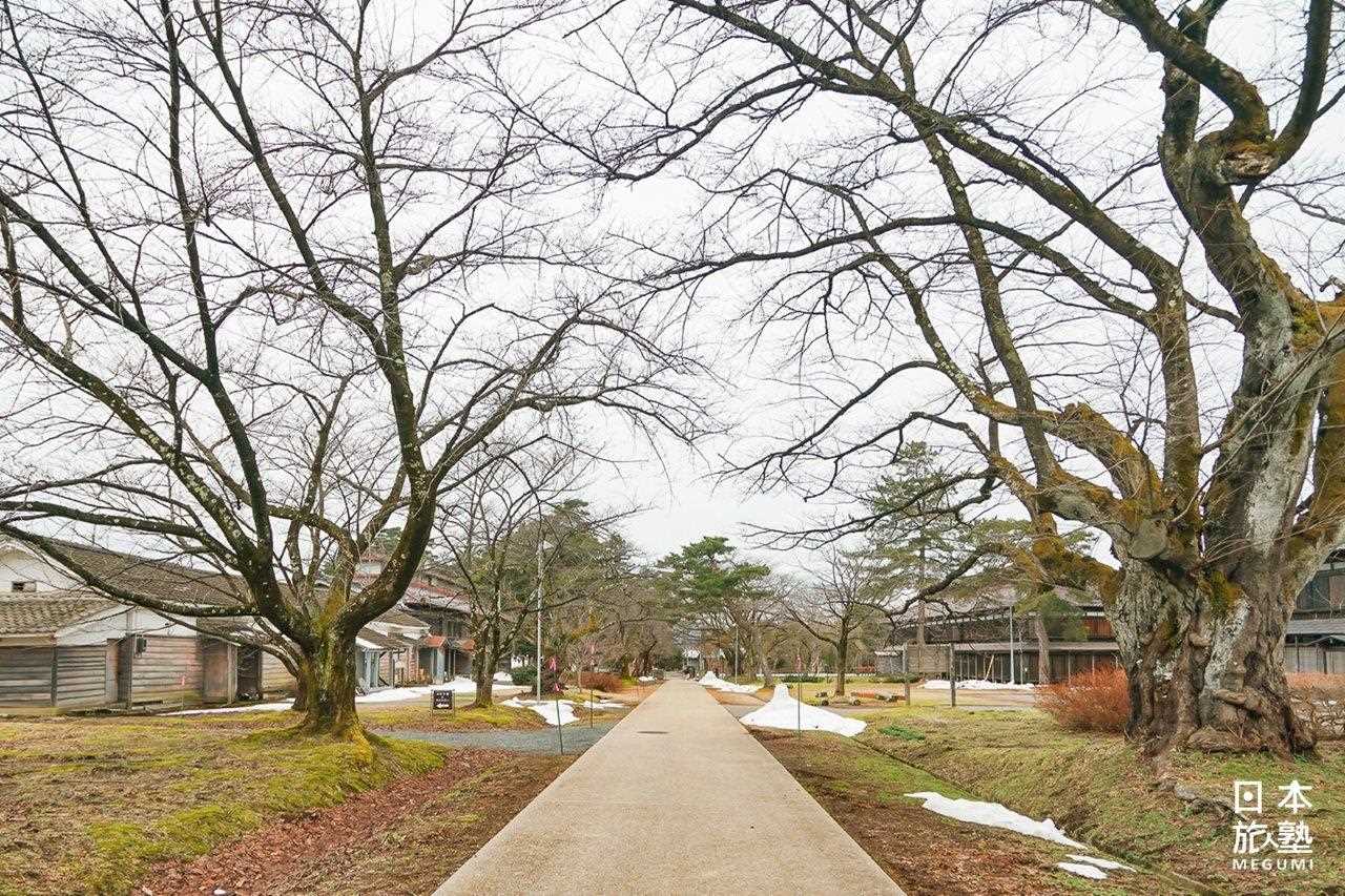 松岡開墾場幅員遼闊，建築群排列井然有序