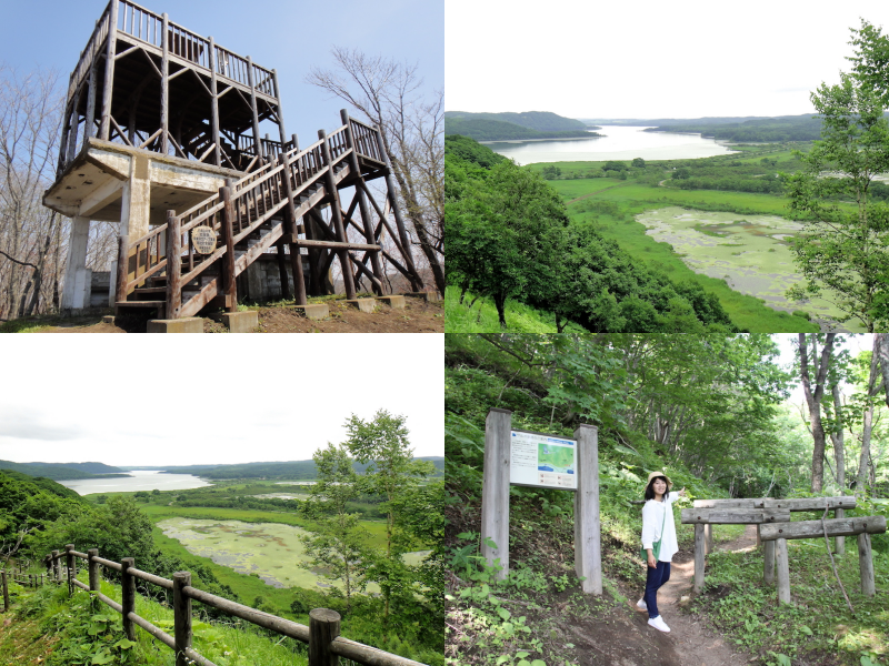 Head to the Sarubo and Sarurun observatories for views of Lake Toro. (Image credit: Hokkaido Railway Company)