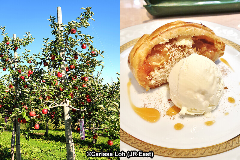 Hirosaki's Apple Park and delicious apple pie. (Image credit: JR East / Carissa Loh)