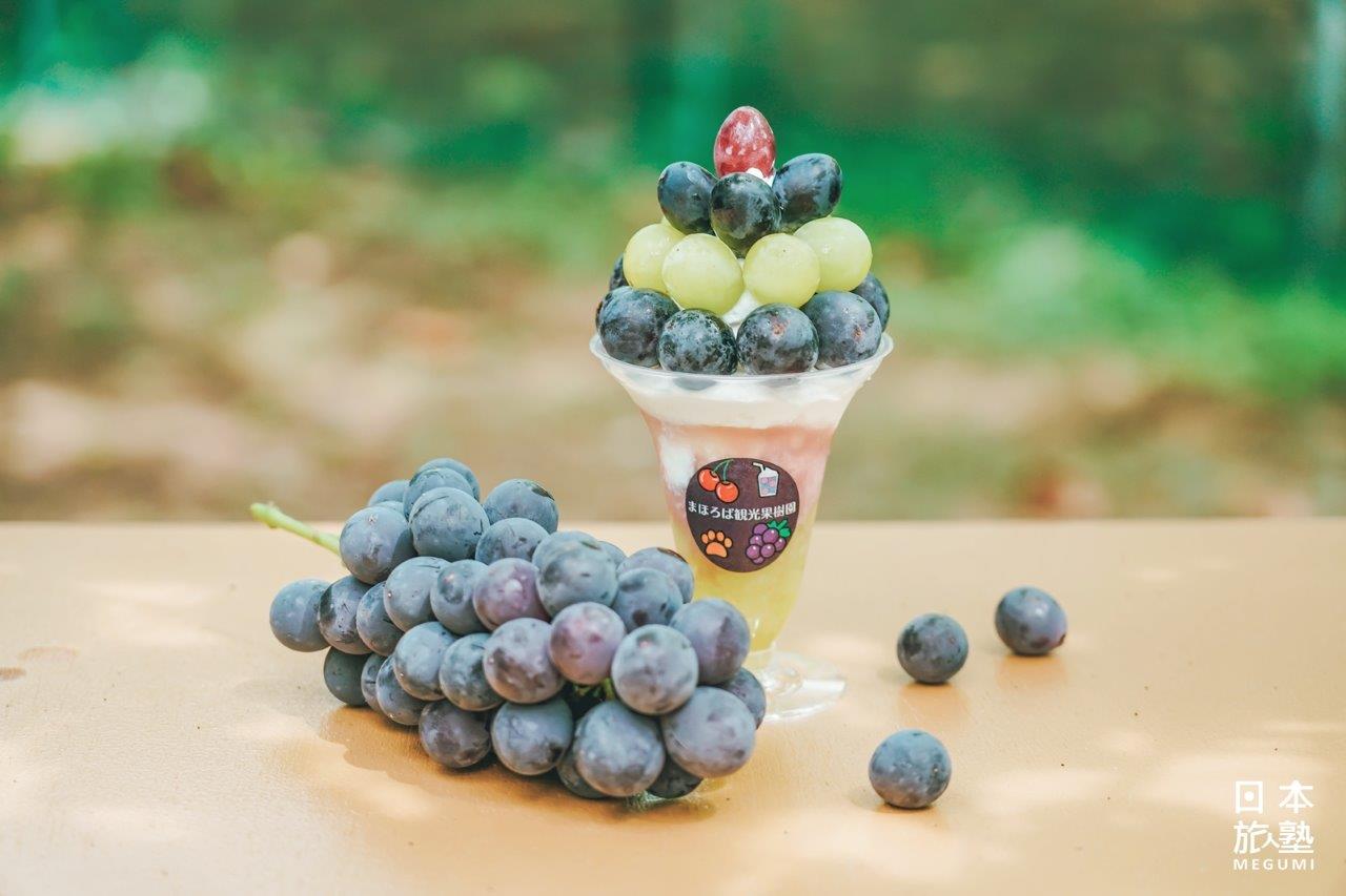 水果聖代放了3種類的葡萄，光從視覺上就非常豐盛