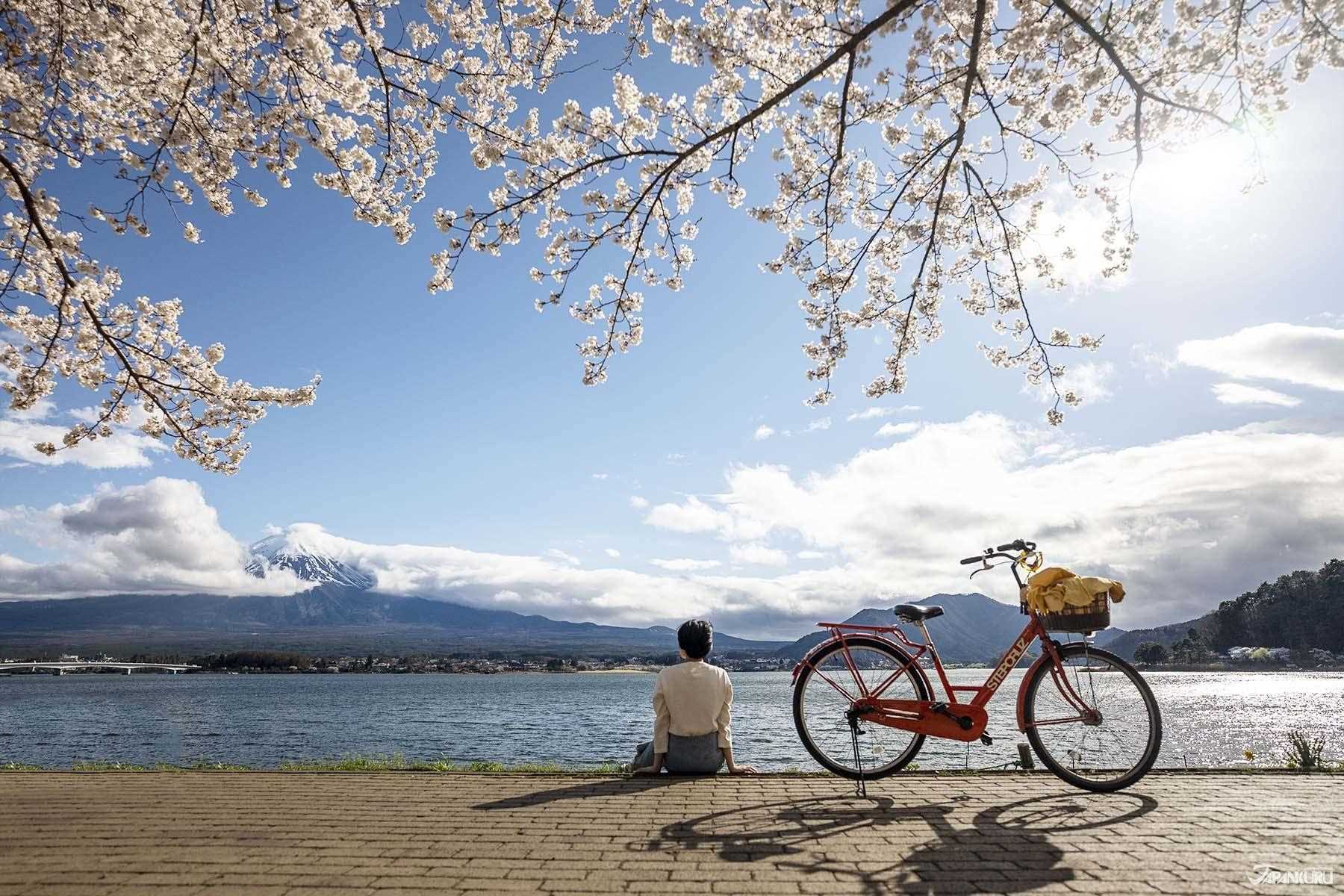 河口湖篇：富士山全景纜車、櫻花祭、大石公園文青店