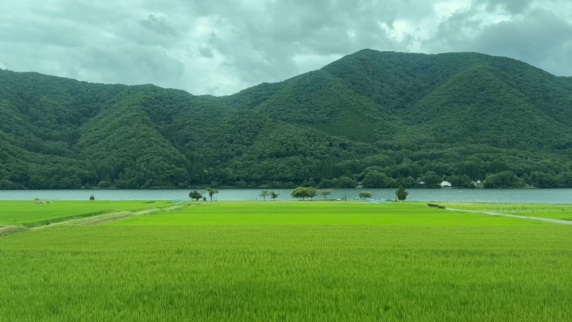 ▲木崎湖（共有3張圖，看下一張→）