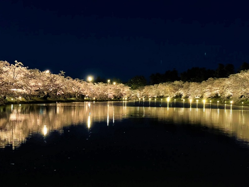 Hirosaki Park at night. (Image credit: Japanmase)