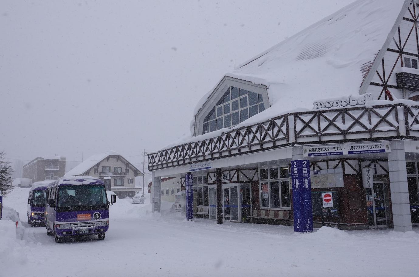 （圖片提供：白馬八方尾根滑雪場）