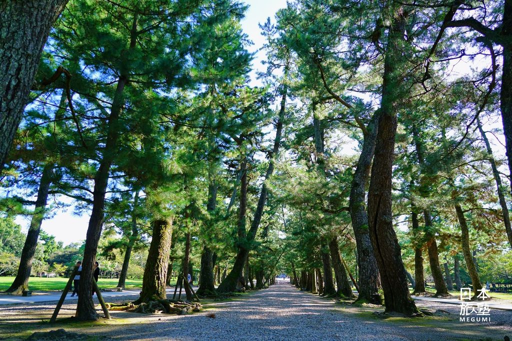 在參道兩側，種植許多青松，中央為神明所行走的道路