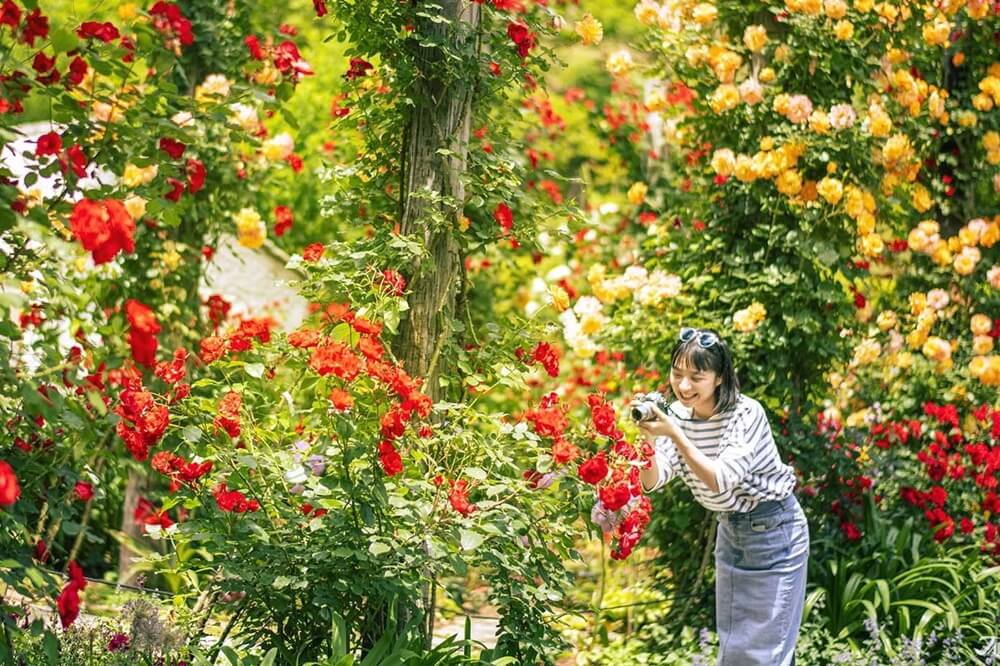 靜岡之伊豆熱海好好拍！繽紛景點篇：花園賞花美術館沙灘海邊的大人溫泉旅提案