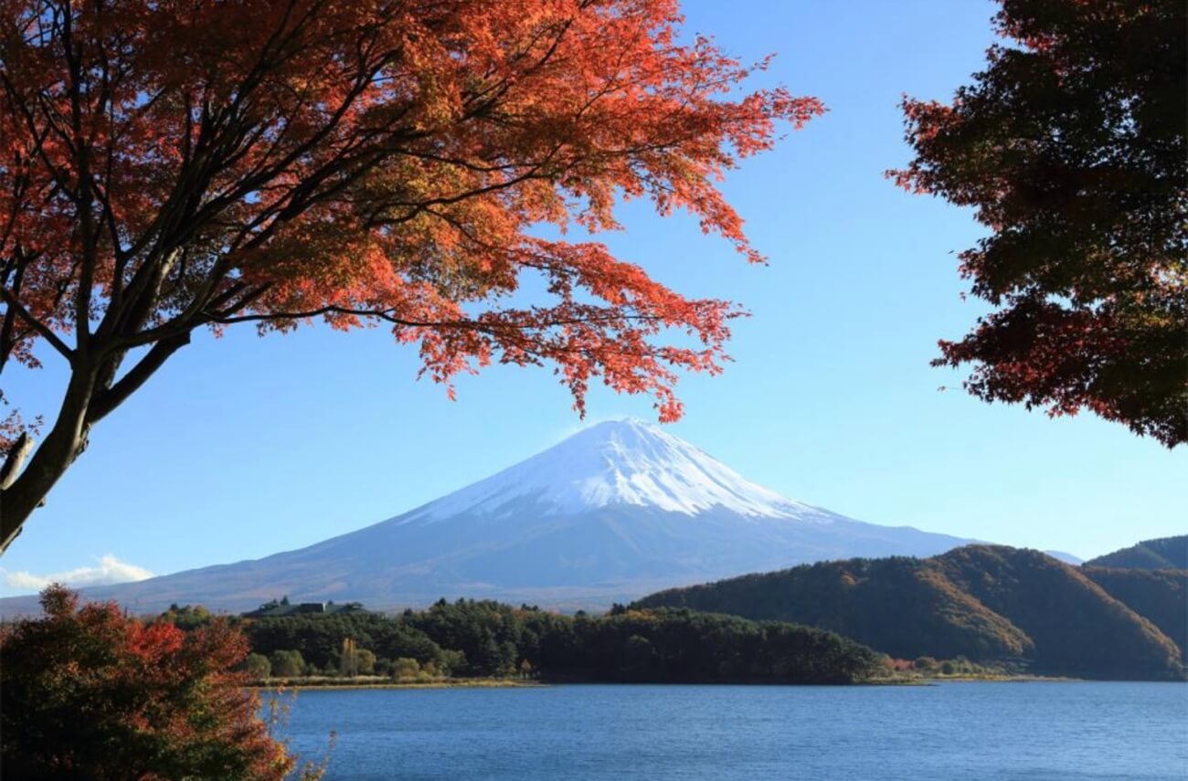 ▲富士山與河口湖　公益社団法人やまなし観光推進機構提供