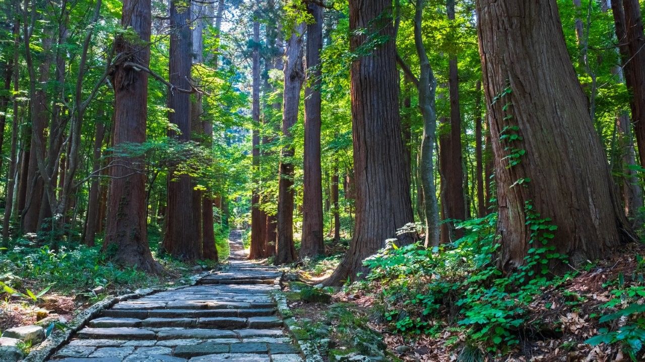 從仙台站前往鶴岡站　搭巴士輕鬆暢遊出羽三山