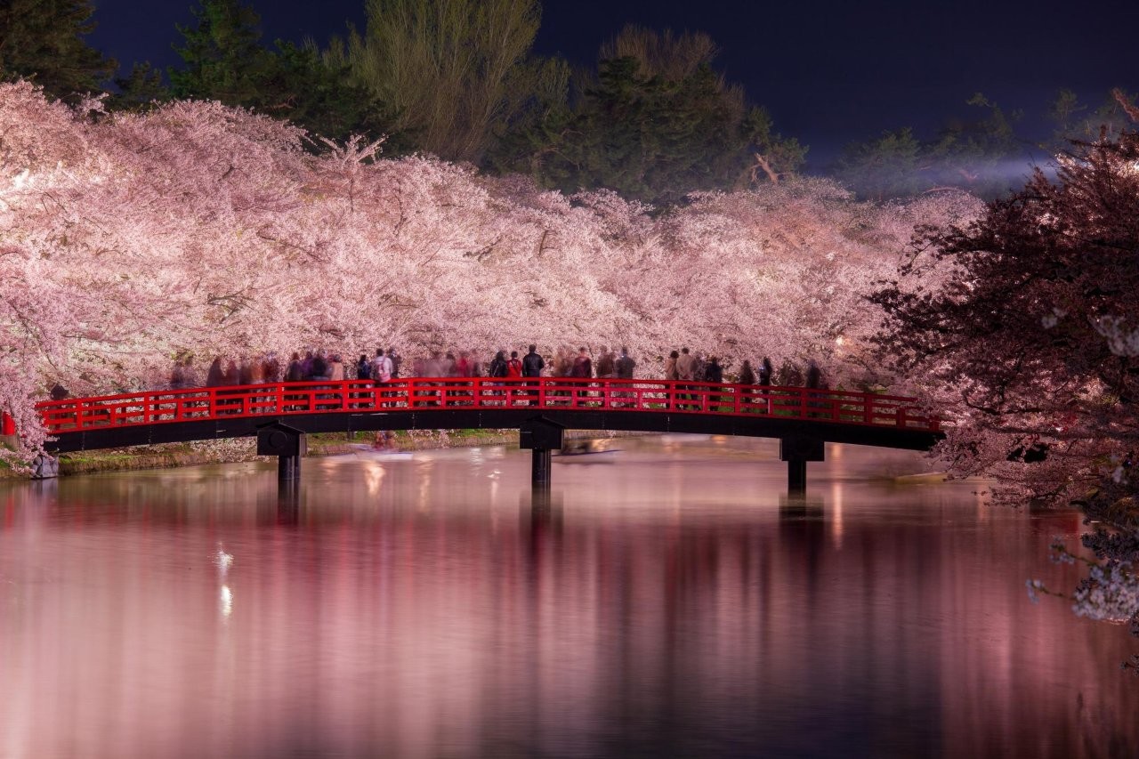 圖片來源：PIXTA