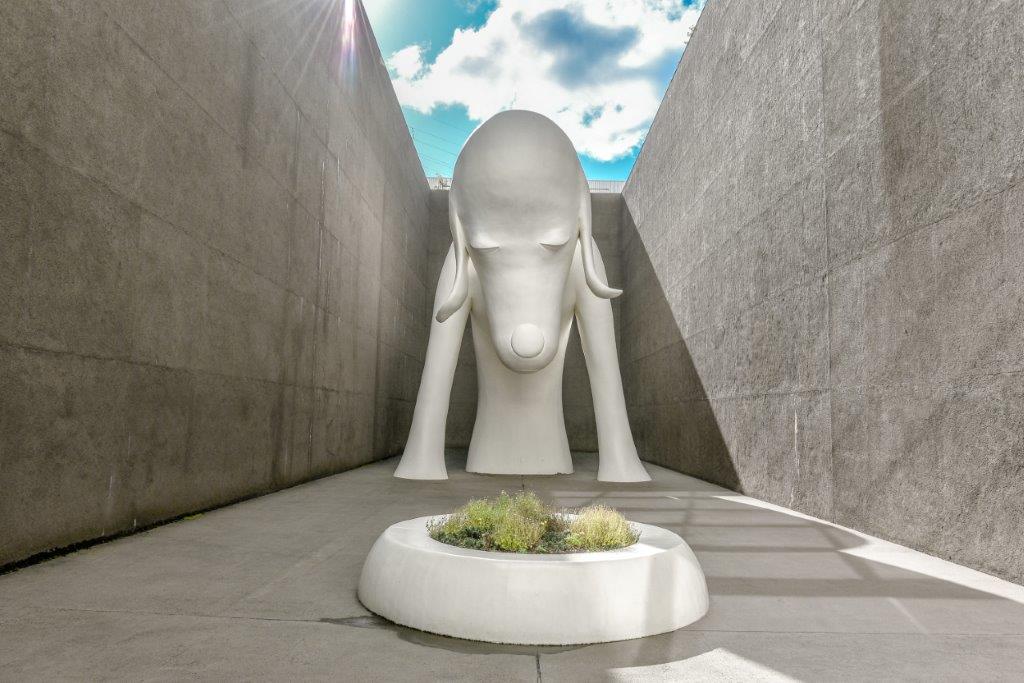 奈良美智於2005年的作品《青森犬》，是許多人對於青森縣立美術館的印象。其實說起這獨特的藝術家「奈良美智」，其實是青森縣弘前市人，因此創作了不少大型作品獻給熱愛的家鄉。