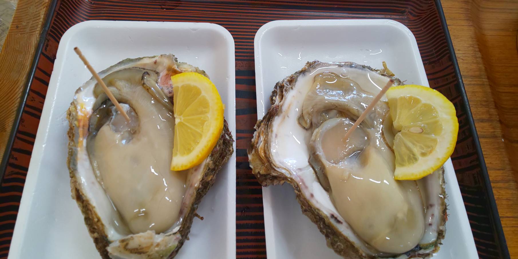 （圖片提供：鳥海山・飛島ジオパーク推進協議会）