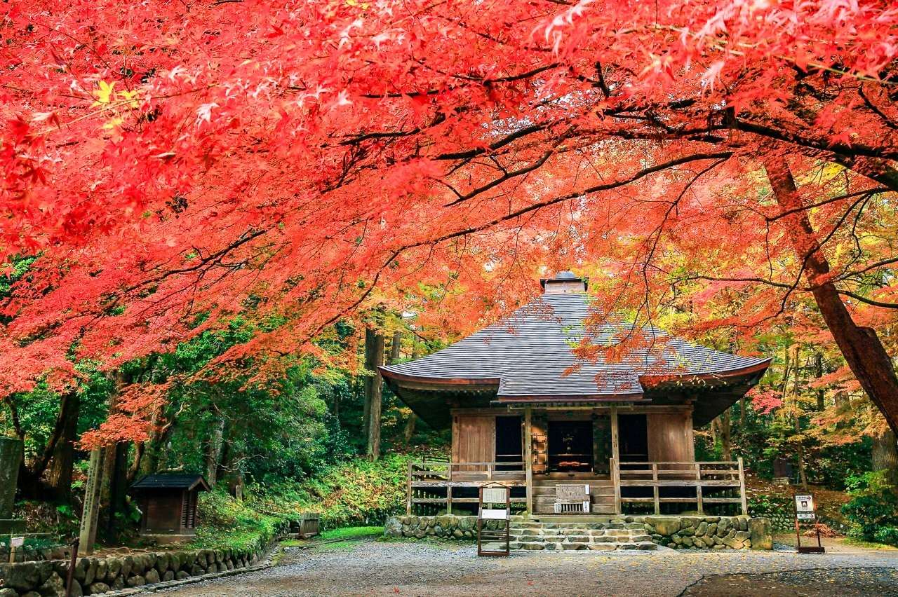 中尊寺、毛越寺等寺社，均為平泉文化象徵