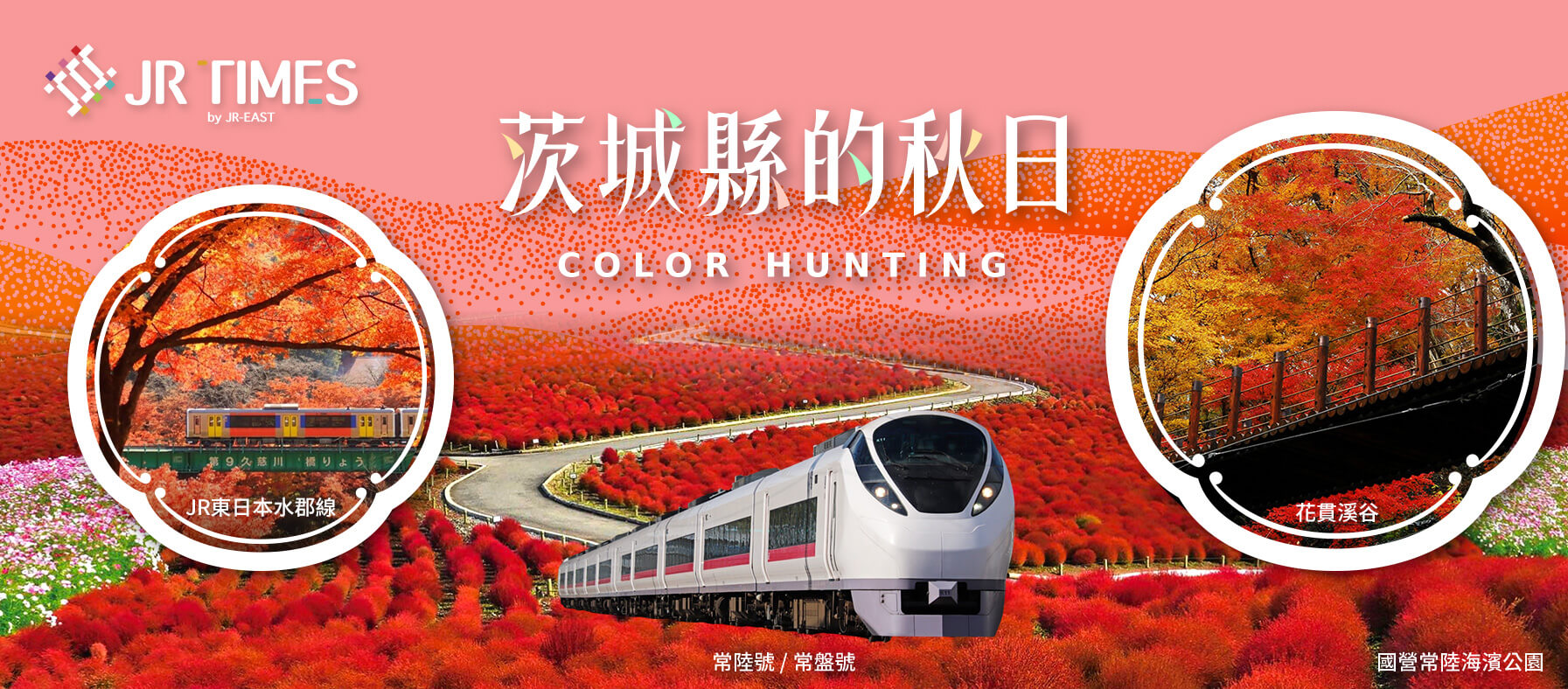 Color Hunting「茨城紅」