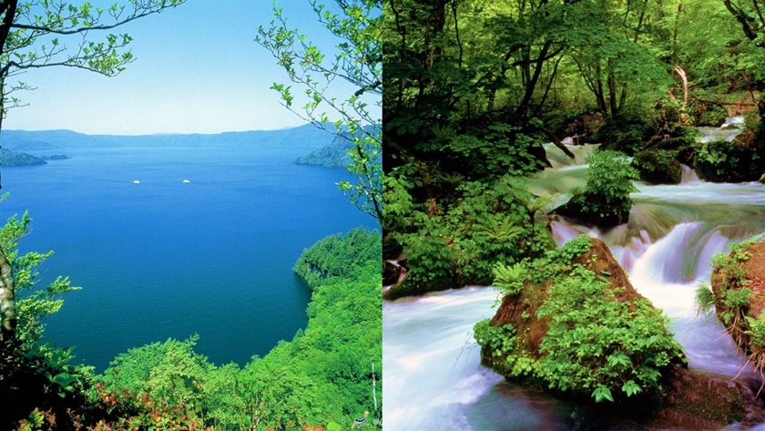 十和田湖（左）  奧入瀨溪流（右）。(Image credit: Aomori Prefecture / JNTO)