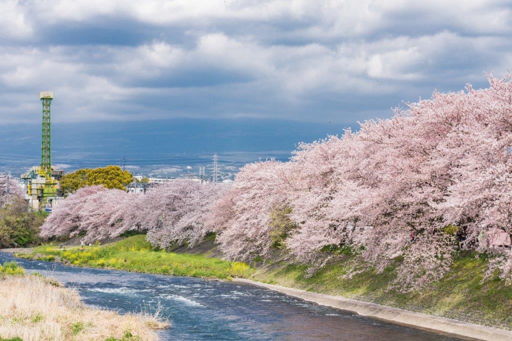 其實第一次來潤井川龍巖淵時，雖上午在東京前往靜岡的高速巴士上見到富士山，但中午後到時已被雲層遮住，從一下車在入山瀨車站便沒見到富士山景色，到了潤井川龍巖淵果然只能見到厚厚的雲層。 等了三小時過去，別說是山了，連個半山腰都看不明顯（苦笑）。