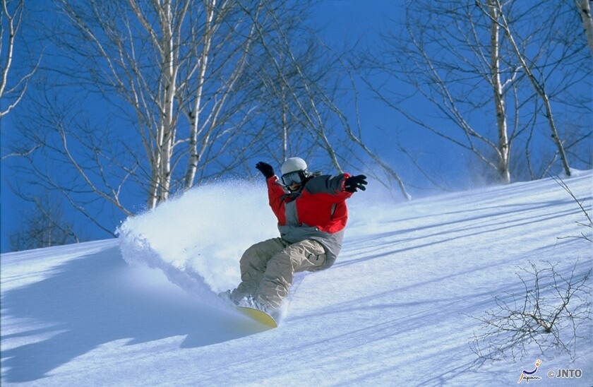 很多人喜愛滑雪這項運動。(Image credit: JNTO)