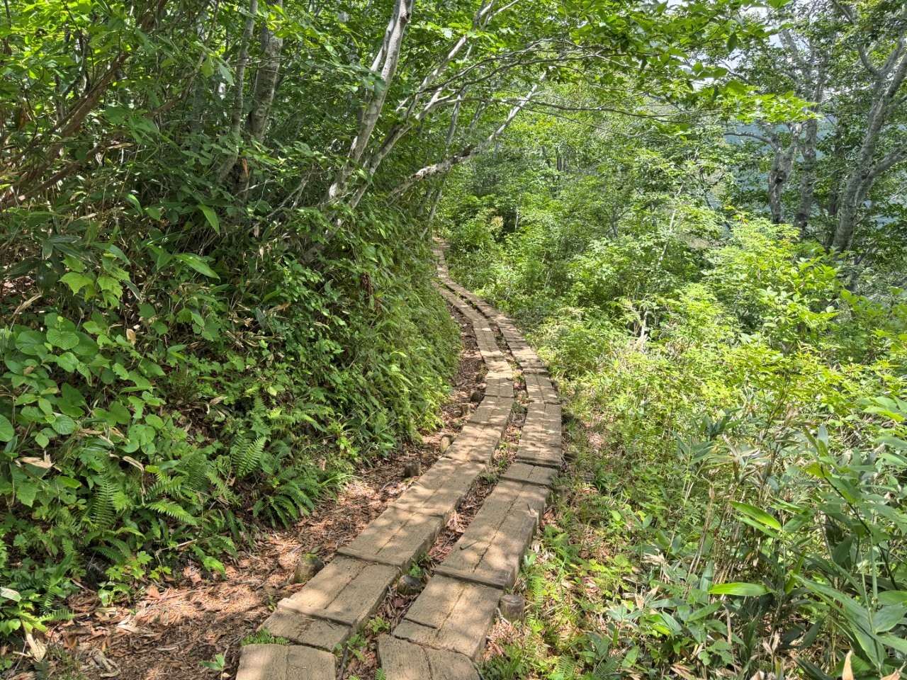 （共有4張圖，看下一張→）