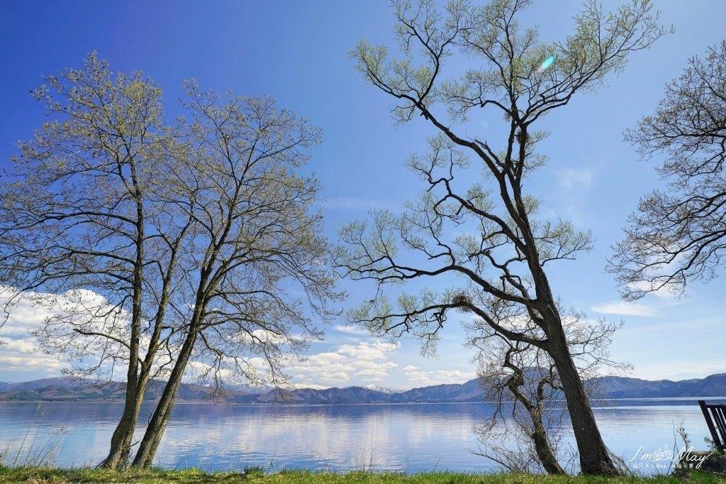 賣店的正對面就能看到田澤湖的美景