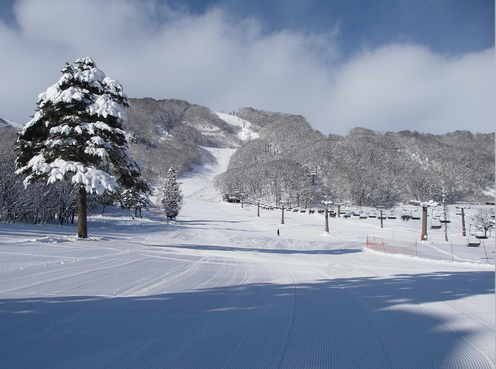 （圖片提供：白馬八方尾根滑雪場）