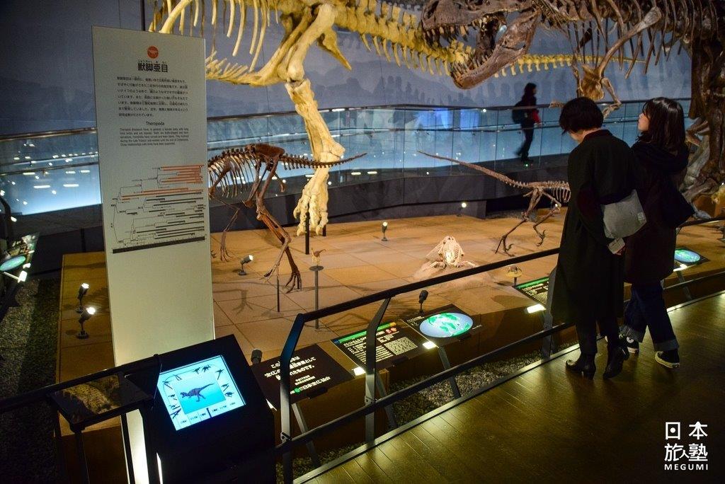 每一組恐龍骨骼都有清楚的說明，除了屬別、特色等基本介紹，也有分布地說明
