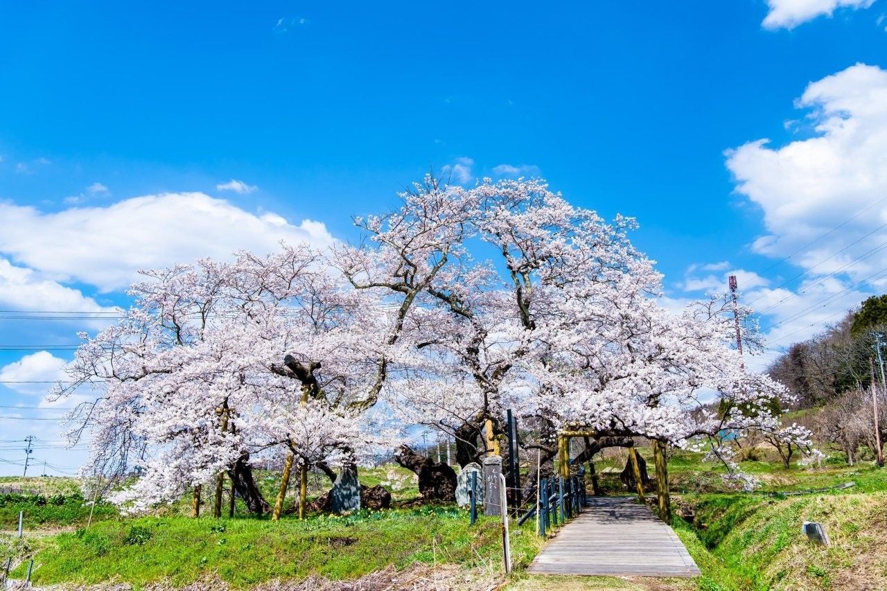 圖片來源：PIXTA