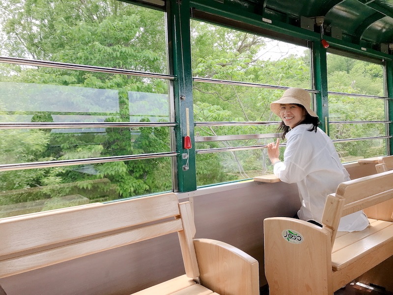 Inside the Norokko Train. (Image credit: Hokkaido Railway Company)