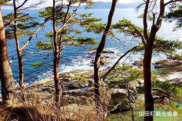 由四十八坂觀景台往下走，即可來到海岸線